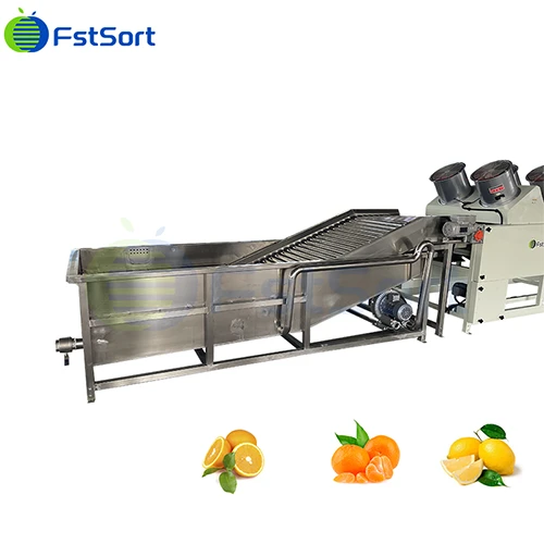 Citrus Air - Drying Sorting Machine Production Line best