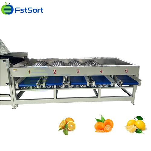 Citrus Air - Drying Sorting Machine Production Line price