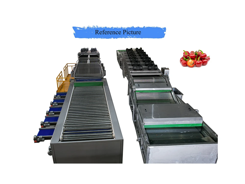 cherry pepper sorting